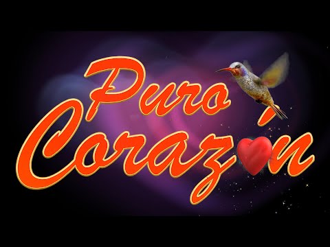 PURO CORAZON Lucho Cuellar  (Feat Randy Matos - Furor y Punto)
