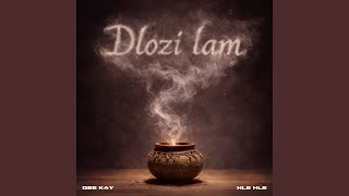 Download lagu Dlozi Lam mp3 Download lagu Dlozi Lam mp3