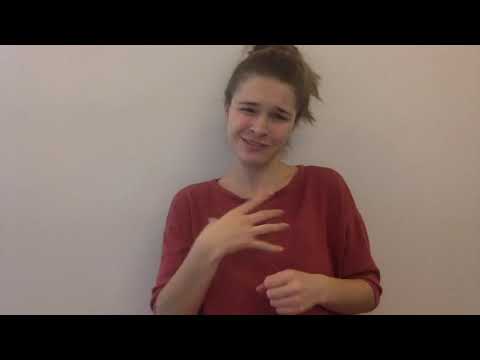 GSR 300 Reflective #8