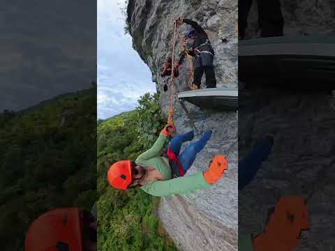 Estos son los impresionantes Bosques de Pandora 🌳🍃 en El Peñón, Santander 🥰