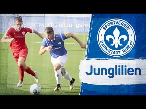 Darmstadt 98 | Eindrücke von den Junglilien