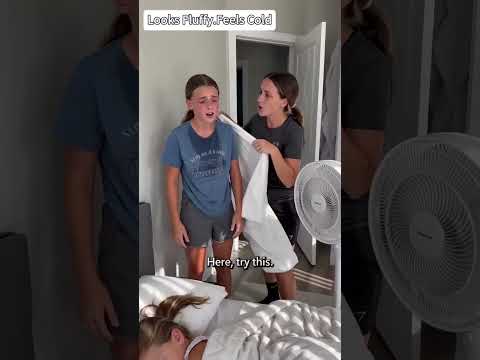 Canadian Sibling Heat Fight Solved Instantly