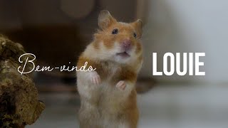 Louie - O novo integrante do canal