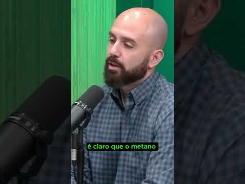 Gás metano é compensado pelo sequestro de carbono do pasto