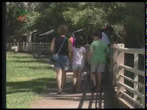 UPFTV Reportagem - Zoológico da UPF