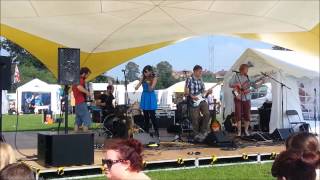 The QP at Shrewsbury Folk Festival 2013