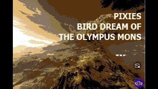 Pixies - Bird Dream of the Olympus Mons - Karaoke - Instrumental Cover