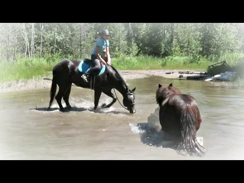 ABOUT OUR FIRST TRAIL RIDE OF THE SEASON! Day 134 (05/12/20)