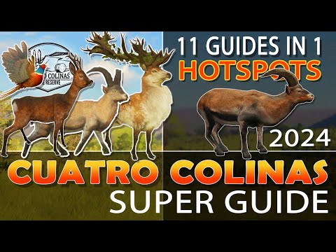 Cuatro Colinas HOTSPOT SUPER GUIDE 2024/25  (Updated) - Call of the Wild