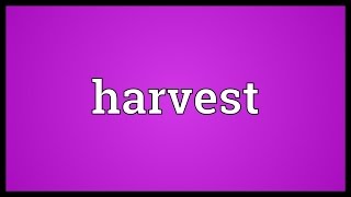 Harvest Meaning
