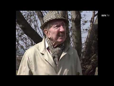 Leif Juster - Endelig på meteorologisk