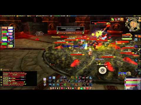 Throne of Thunder - Primordius (10 man) - Hunter PoV