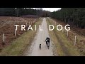 Training Inca To Become The Ultimate Mtb Trail Dog