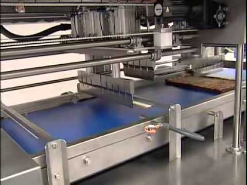 Bakon Inline Ultrasonic Cutting Machine