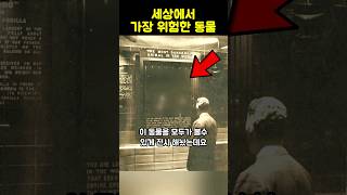 Download lagu The most dangerous animal ever exhibited. mp3