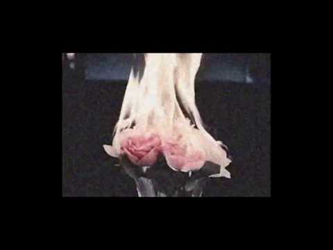 Ahvali Efgan - Ne Farkeder