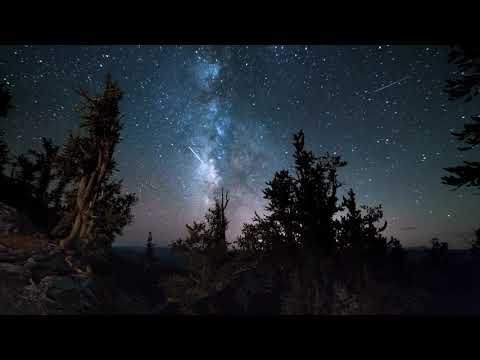 Edita Bodrovaitė - Tyli Naktis (~2010)