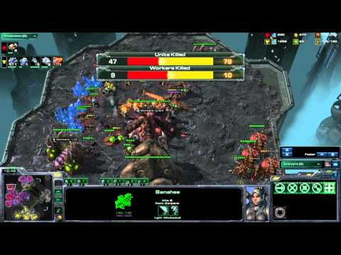 HOTS TheLittleOne v PainUser g3