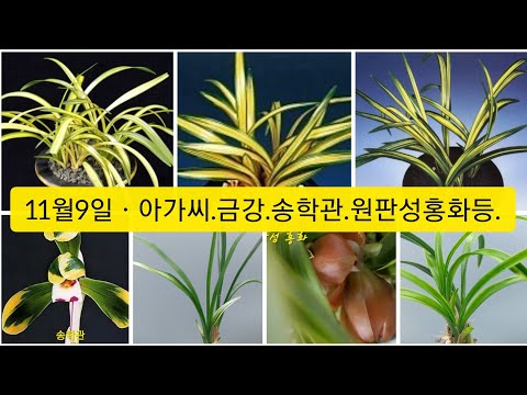 유튜브 썸네일