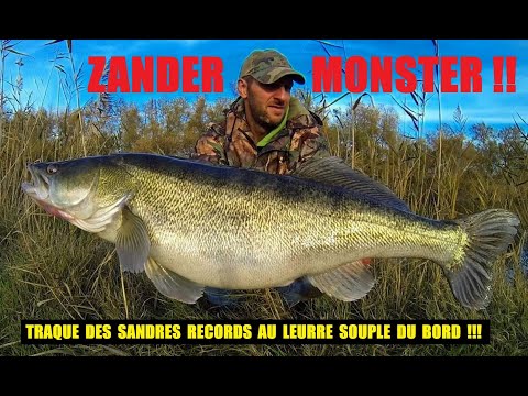 ZANDER MONSTER !!! JAGDREKORD SANDRES MIT WEICHEM Köder AN BORD !!!