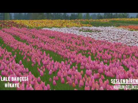 Lale Bahçesi Mesneviden (Hikaye)