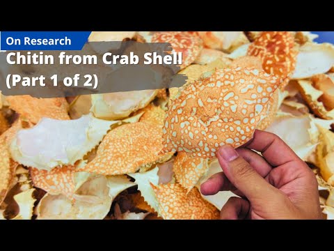 Chitin from Crab Shell (Part 1/2) | Preparation Setup