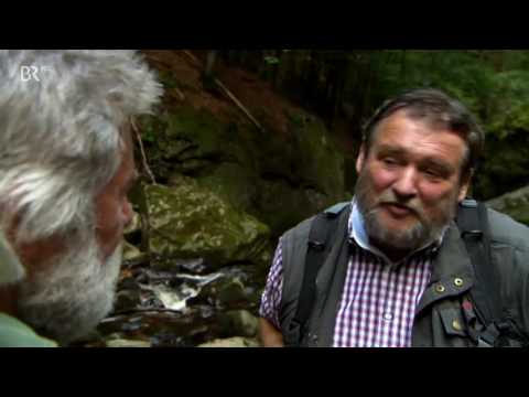 Bayern erleben Entlang der Ilz