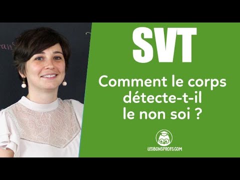Comment le corps détecte le non-soi (3ème) - Les Bons Profs
