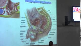 7) Dr. Hossam 09-04-2015 [ Urethra ]