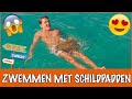 Curaçao #3 - Zwemmen tussen de schildpadden! | DierenpraatTV