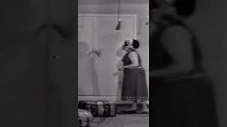 مسرحيه هالو شلبي مسرحية