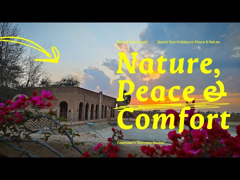 Nature, Peace & Comfort – Fatehveer’s Farmstay Testimonial