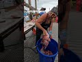 How to Harvest a SnapperThroat #redsnapper#floridaman #florida #fishing # #destin #howto#daddy #bear - Eric J Westbrook How to Harvest a SnapperThroat #redsnapper#floridaman #florida #fishing # #destin #howto#daddy #bear