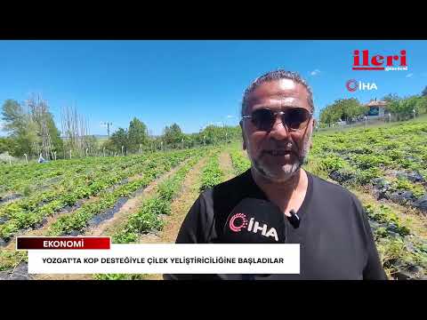 Yozgat'ta KOP desteğiyle üretime başladılar: Kazanca kazanç demiyorlar | İleri Gazetesi