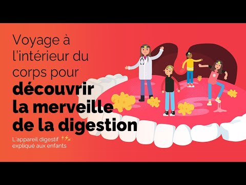 Voyage à l’intérieur du corps pour découvrir la merveille de la digestion | Pour les enfants