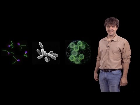 Karl Deisseroth (Stanford / HHMI): Development of Optogenetics