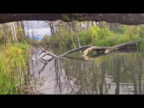 Fir monofilament RTB ADV Light Game Light Yellow 150m