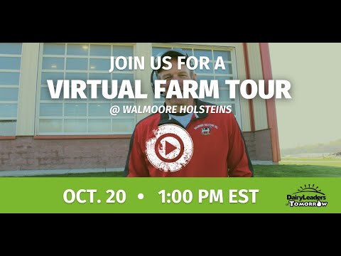 DLT Virtual Farm Tour - Walmoore Holsteins from the 2022 DLT Farm Tour