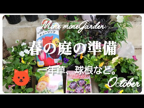 園芸 一年草と夏の球根
