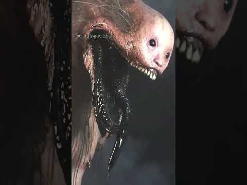 Entonces al final RATMAN fue real ⚠️💀 #shorts #viral #ratman