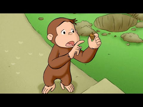 Ekorre för en dag | Nicke Nyfiken | Tecknad Film för Barn