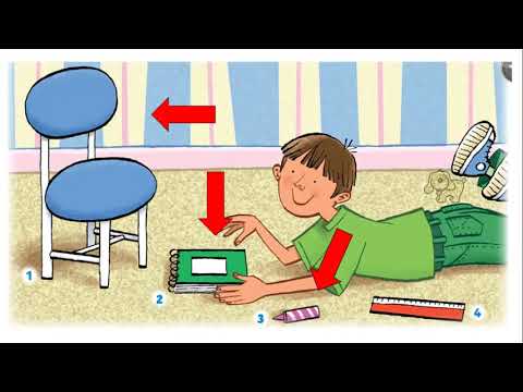 Primer año básico - vocabulary