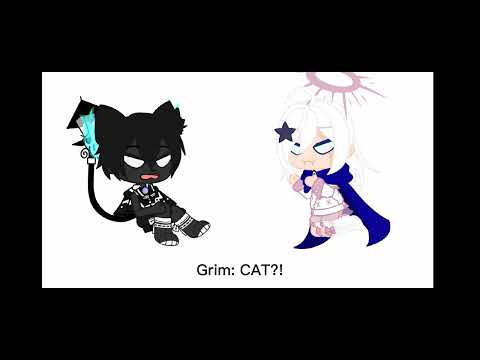 Flying tuna addicted cat meets emergency food :) Grim meets Paimon