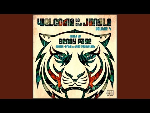 Welcome To The Jungle Vol. 4 (Continuous DJ Mix)