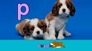 Starfall Letter P - Puppies 