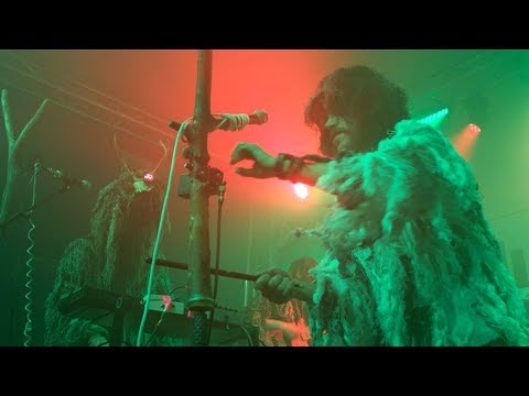 Snapped Ankles - Full Performance (Live on KEXP)