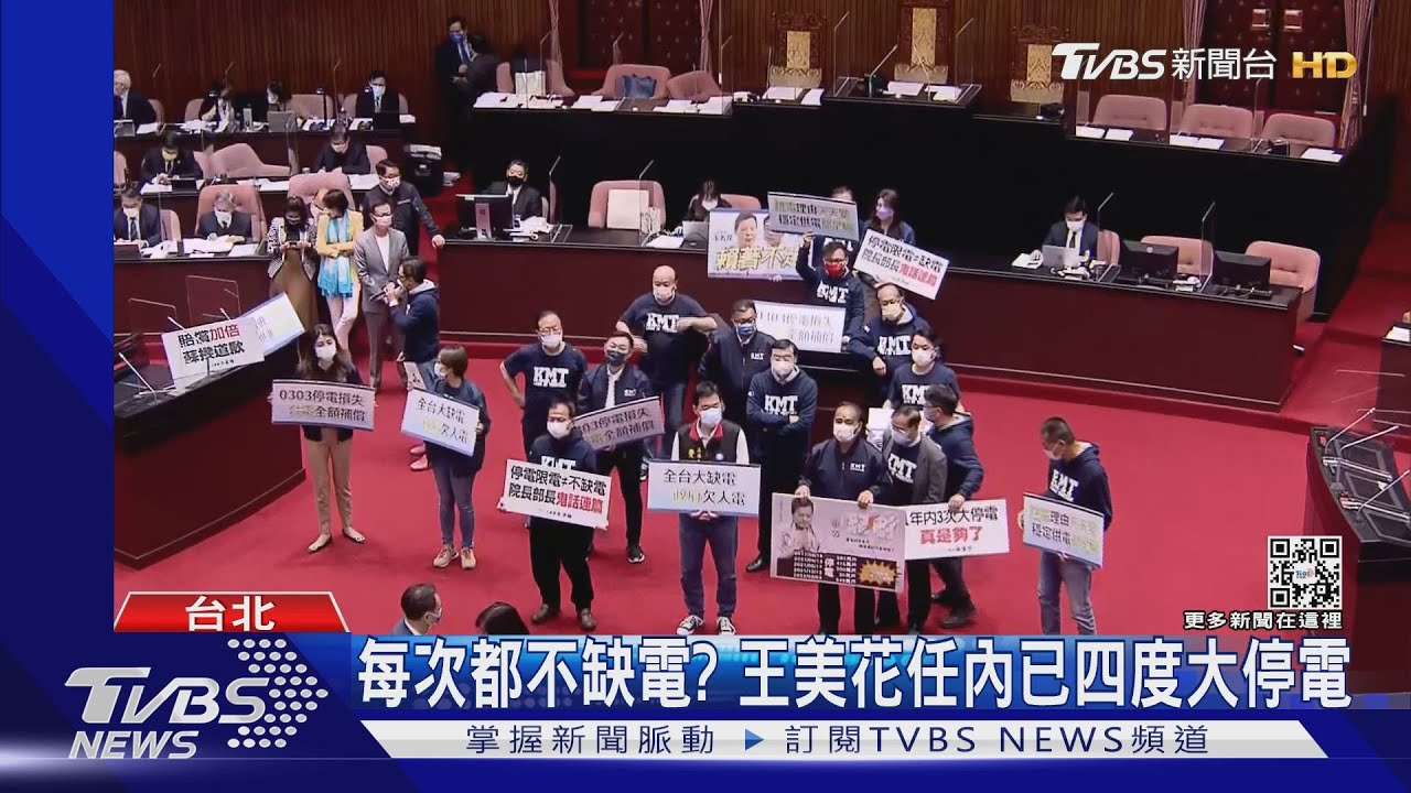 藍拿特製「缺電雞排」 立院議場包圍王美花