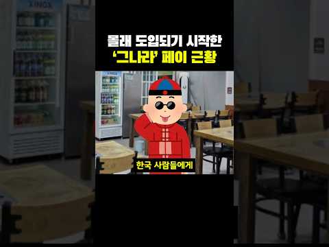 몰래 도입되기 시작한 그 나라 페이 근황