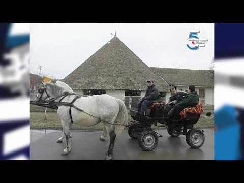 Suvača, stari mlin na konjski pogon
