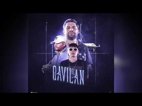 el gavilan sin censura 🚫 peso pluma × Luis r × tony aguirre